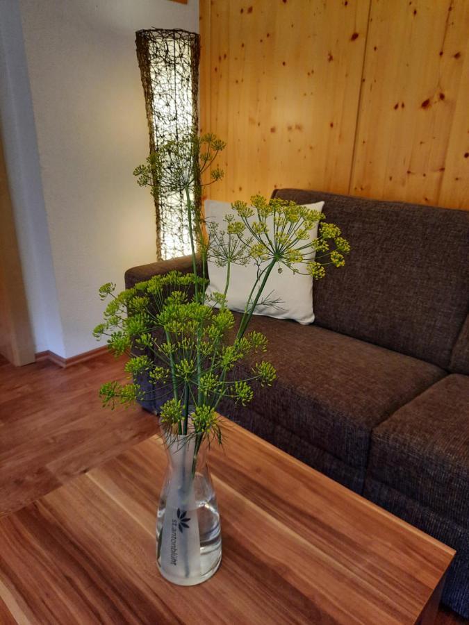 Haus Untergand Apartman Sankt Anton am Arlberg Kültér fotó